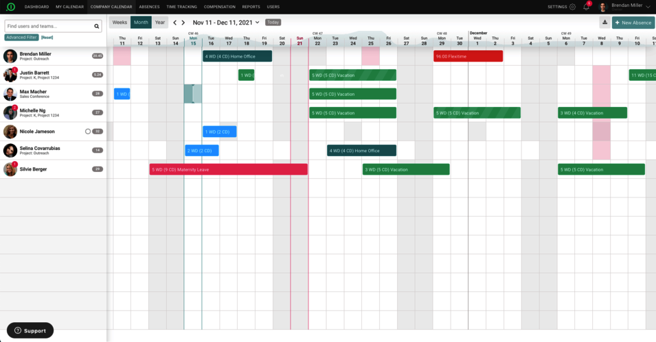 The view of a team calendar showing the vacations and other absences of team members.